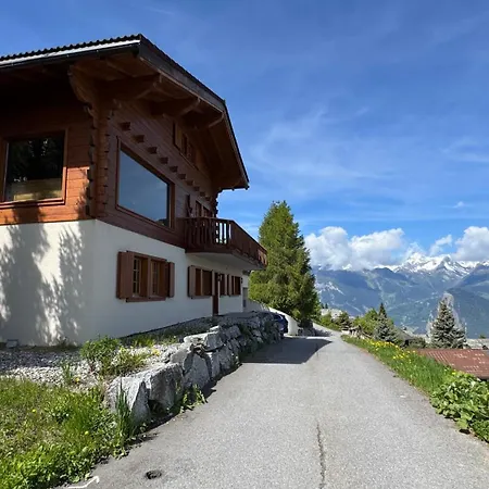 In Out For 10 People With Breathtaking View Nendaz